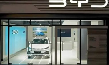भारत में BYD EV विनिर्माण संयंत्र को सरकार ने अस्वीकार कर दिया