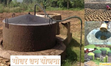 गोबरधन योजना के अच्छे परिणाम मिलने लगे हैं और बायोगैस क्षेत्र में निवेश को भारत में प्रोत्साहन मिल रहा है