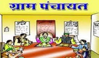 ग्राम पंचायतों का डिजिटलीकरण