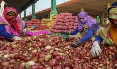 केंद्र ने प्याज का 3 लाख मीट्रिक टन बफर स्टॉक जारी करना शुरू किया