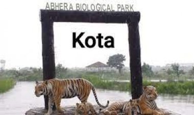 कोटा अभेडा: टाइगर ने बायोलॉजिकल पार्क में केयरटेकर पर किया हमला, एक व्यक्ति की जान जोखिम में