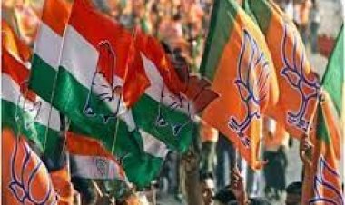 भरतपुर चुनाव: जाहिदा खान ने सबसे ज्यादा वोट हासिल किए, नदबई से अवाना सबसे कम