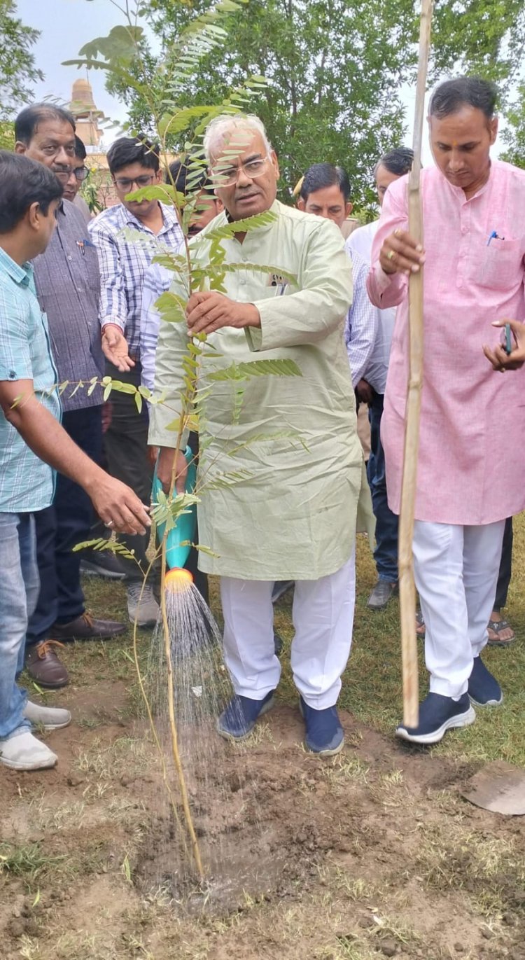 ‘एक पेड़ मां के नाम’ सघन वृक्षारोपण अभियान—2024, जिला प्रभारी मंत्री ने उम्मेद उद्यान में किया वृक्षारोपण सभी प्रदेशवासी अधिकाधिक वृक्षारोपण करें - पंचायतीराज मंत्री